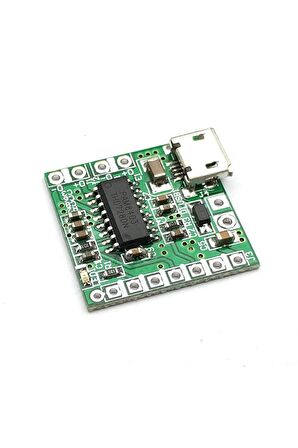 Micro Usb Soketli Pam8403 5v 2x3w Stereo Müzik Ses Amfilikatörü