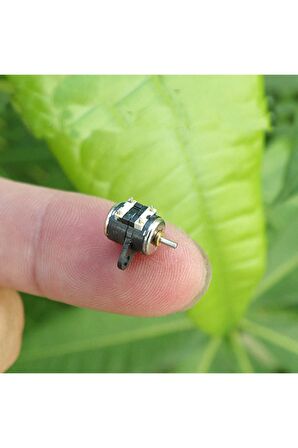 Microstep Motor 6x7.5mm 2 Faz 4 Telli Fotoğraf Makinesi Lens