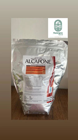 ALCAPONE 5KG