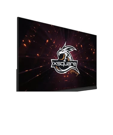 DEXIM DMT008 24,5" 100Hz 0.5ms FHD HDMI VGA HDR Low Blue Light FreeSync Fast IPS Monitör 86851197001