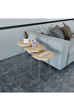 Zigon Sehpa 3'lü Sekizgen Takım Gümüş Tel Ayaklı