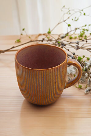 Turuncu Çizgili Porselen Kupa & Alerya Guatemala Filtre Kahve & Kurabiye & Godiva Naps Hediye Seti