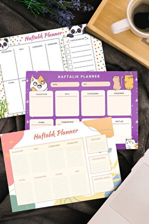 Peluş Kılıflı 600ml Pembe Renk Cam Matara & Dondurma Fosforlu Kalem & Haftalık Planner Hediye Seti