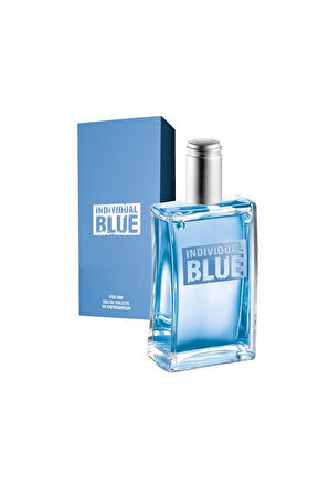 Mavi Roller Kalem & Baskılı Kupa & Individual Blue Parfüm & Mavi Çerçeve Erkeğe Hediye Seti