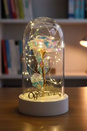 Canım Öğretmenim Yazılı Led Işıklı Solmayan Güllü Gece Lambası fanus Dekor Süs