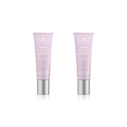 Ekonomik İkili Alterna Renewing Peppermint Leave On Treatment