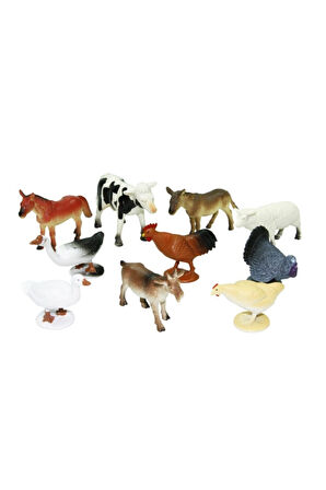 Kutuda 10 Parça Hayvan Seti