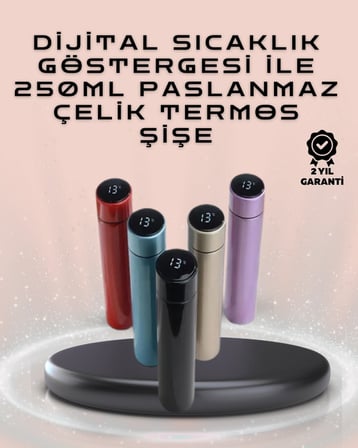 250ml LED Ekranlı Paslanmaz Çelik Akıllı Termos