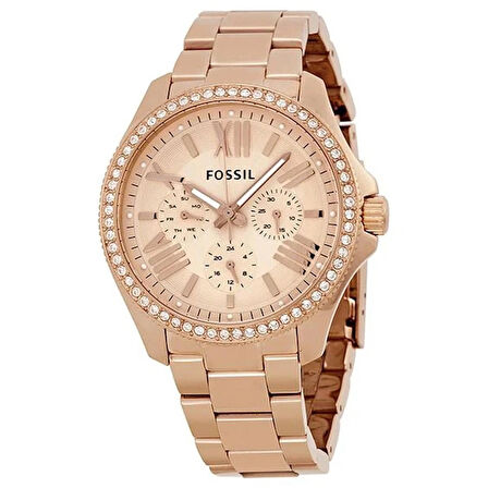 Fossil AM4483 Kadın Kol Saati