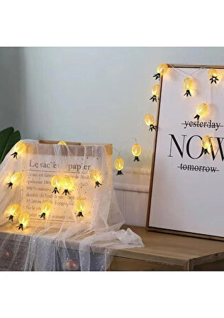 Bak Gel Al Metal Ananas Figürlü 10’lu LED Işık Zinciri | Sıcak Sarı Işık Dekoratif Ev, Parti, Yılbaşı ve Oda Süsleme Aydınlatması