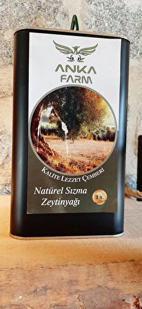 ANKA OLIVE ERKEN HASAT ZEYTİNYAĞI  SİYAH TENEKE 3 LT