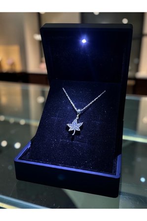 ANKA MÜCEVHERAT IŞIKLI KUTUDA 925 AYAR GÜMÜŞ YAPRAK KADIN KOLYE