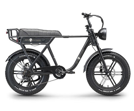 Ape Ryder A10 Iki Kişilik Elektrikli Bisiklet