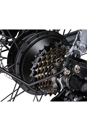 Ape Ryder A10 Iki Kişilik Elektrikli Bisiklet