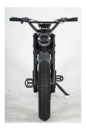 Ape Ryder Gibbon Elektrikli Bisiklet