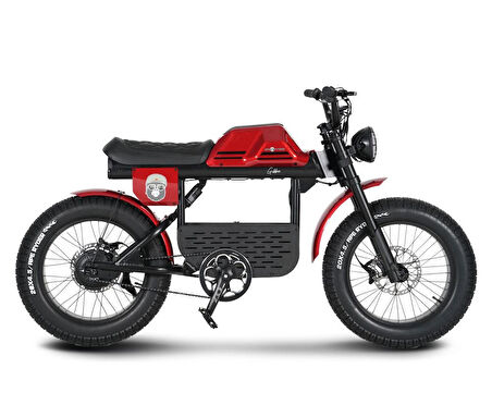 Ape Ryder Gibbon Elektrikli Bisiklet