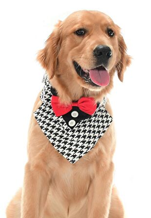 Orta ve Büyük Irk Köpekler için Yakalık Bandana Morjop