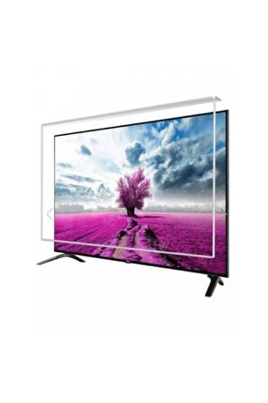 A55 A 965 B Tv Ekran Koruyucu