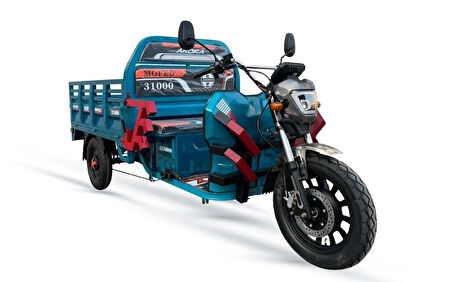 ARORA AR 10000 ELEKTRİKLİ 3 TEKERLEKLİ MOPED