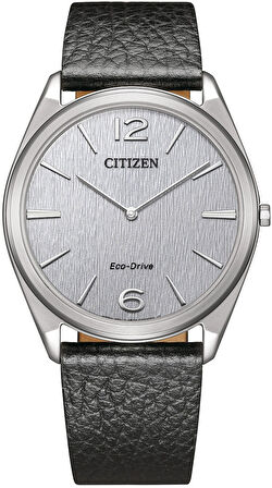 Citizen AR3120-16A