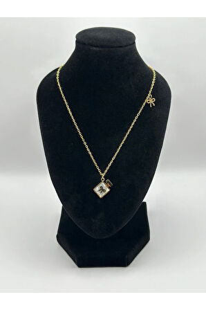 Çelik Fiyonklu Kolye