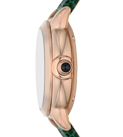 Emporio Armani AR60073 Otomatik Kadın Kol Saati