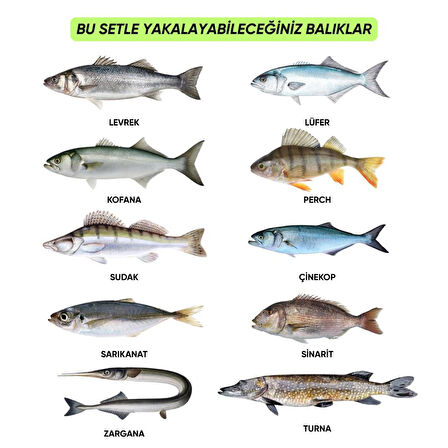 Silikon Spin At-Çek Yem Seti - 70 Parça - Yem Kutulu - Fishack (2003)