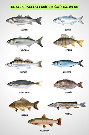 35 Parça Tam Takım Olta Seti - 300cm Kamış 30-60GR / 40'lık Makine (XB) - Tüm Deniz ve Göller İçin