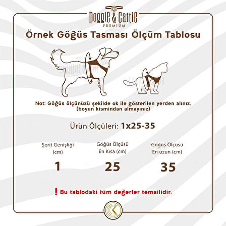 Cattie Havalı Dokuma Kedi Göğüs & Gezdirme Takımı Kırmızı 1*25-35 cm