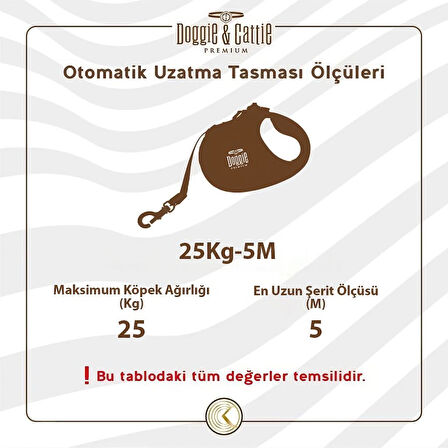 Doggie Master Otomatik Uzatma Tasması Turkuaz 25 kg/5 mt