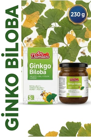 Ginko Biloba Premium Macun | Arı Sütü, Bal, Polen İçeren Bitkisel Destek Karışımı