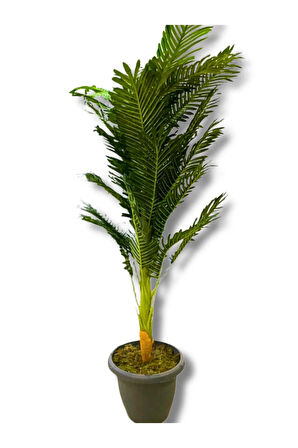 Areka Tek Gövde 170 Cm Yapay Ağaç Üretim Saksısı