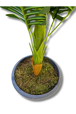 Areka Tek Gövde 170 Cm Yapay Ağaç Üretim Saksısı