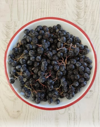 Organik Sertifikalı Aronya (6kg)