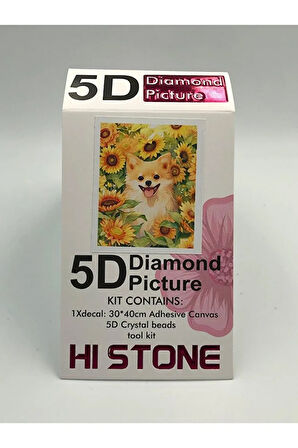 30x40 Boncuklu Taş İşleme Mozaik Elmas Goblen Tablo Resim Boncuk Puzzle Dıamond Paıntıng Hı Stone