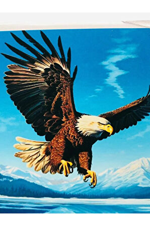 65x50 Boncuklu Taş İşleme Mozaik Elmas Goblen Tablo Resim Boncuk Puzzle Dıamond Paıntıng Hı Stone