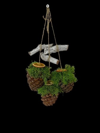 3 Lü Set Kapı Ve Duvar Süsü Doğal Kozalak Portakal Reindeer Moss Hasır İp Hobi Parti Yılbaşı Dekor