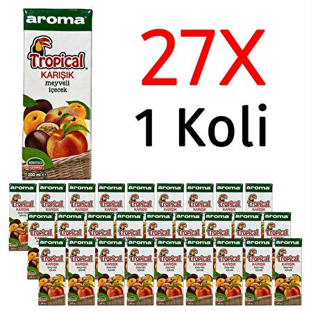 Aroma Tropical Karışık Meyveli İçecek 200 Ml X 27 Adet