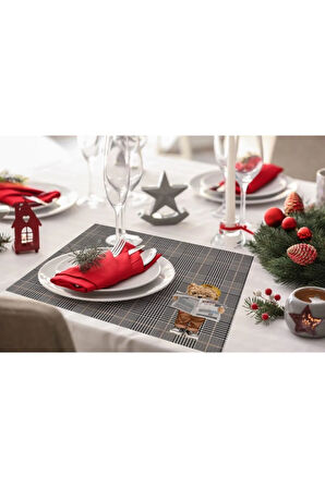 Teddies Kumaş Amerikan Servis 4'lü Set 35x50cm (keten Kumaş, Ulusl. Yıkama Ve Solmama Sertifikası)