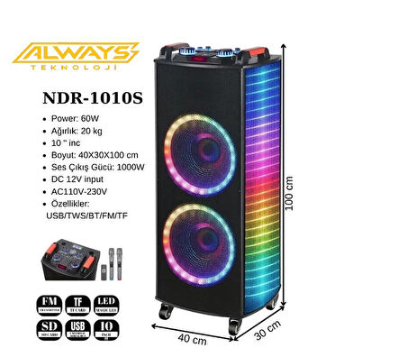 NDR1212S Karaoke Bluetooth Hoparlör 2 Adet Mikrofon ve Ekolayzer'li 2x12" Hoparlör 400-330-1090MM