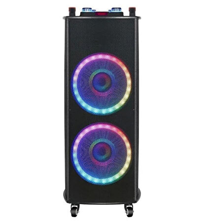 NDR1212S Karaoke Bluetooth Hoparlör 2 Adet Mikrofon ve Ekolayzer'li 2x12" Hoparlör 400-330-1090MM