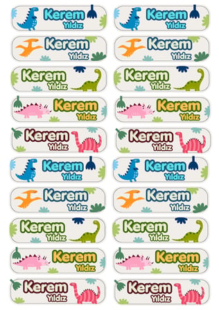 Kişiye Özel 20 Adet Dinozor Konseptli Kitap Etiketi - A4 Parlak Kuşe Sticker