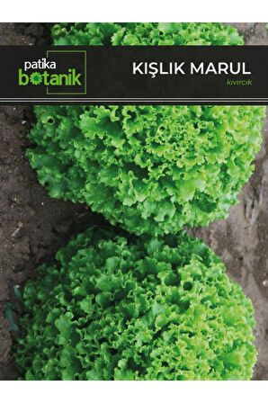1.700 Adet Kışlık Yerli Ata Kıvırcık Marul Tohumu