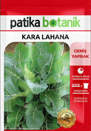 750 Adet Yerli Ata Kara (Yaprak) Lahana Tohumu
