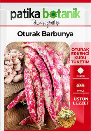 40 Adet Yerli Ata Oturak Barbunya Tohumu (Selim)