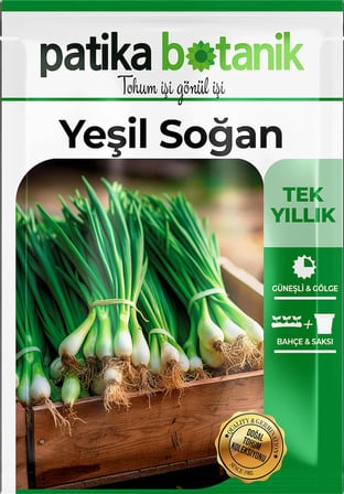 400 Adet Yerli Ata Yeşil Soğan Tohumu