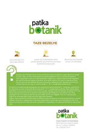 40 Adet Yerli Ata Taze Bezelye Tohumu (Utrillo, Araka)