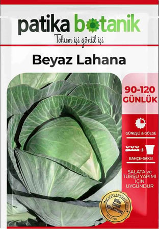 200 Adet Yerli Ata Beyaz Lahana Tohumu (Yalova)