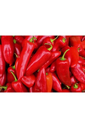 150 Adet Yerli Ata Kapya Biber Tohumu