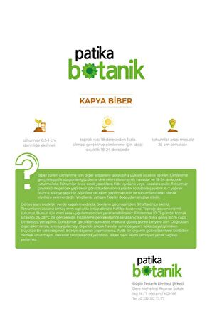 150 Adet Yerli Ata Kapya Biber Tohumu